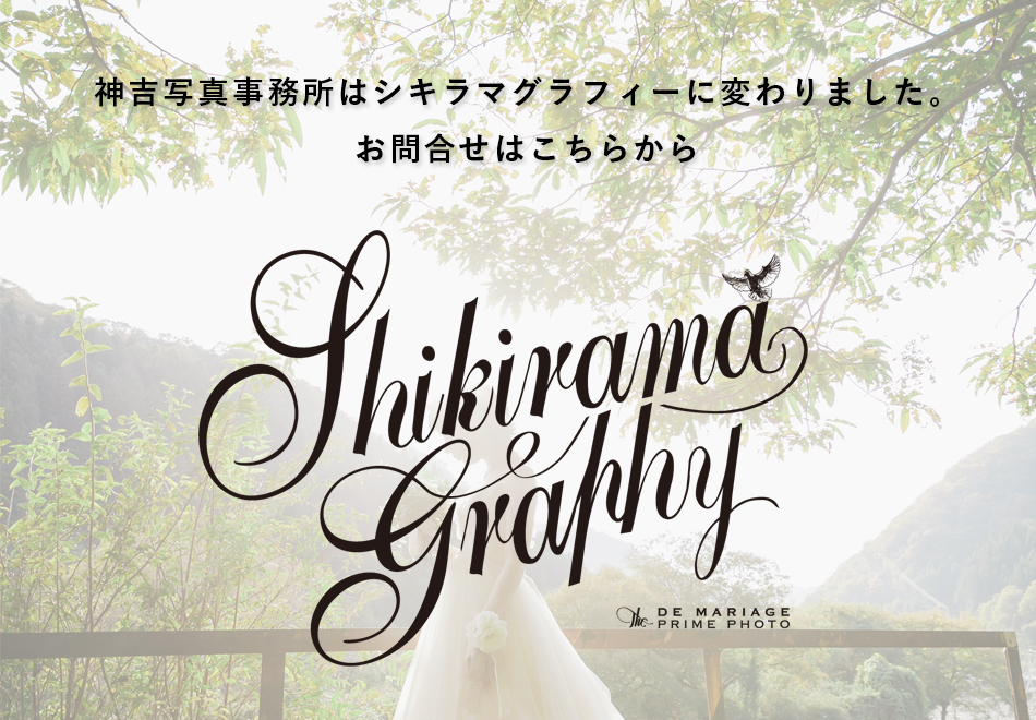 �_�g�ʐ^�������̓V�L���}�O���t�B�[�ɕς��܂����B